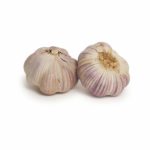 Australian Garlic Seedlingcommerce © 2018 7878.jpg