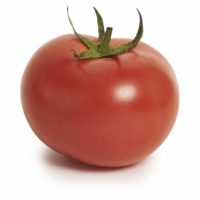 Adelaide Tomato Seedlingcommerce © 2018 8011.jpg
