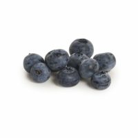 Blueberries Seedlingcommerce © 2018 8259.jpg