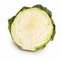 Cabbage Half Seedlingcommerce © 2018 7909.jpg