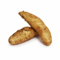 Kifler Potatoes Seedlingcommerce © 2018 7865.jpg